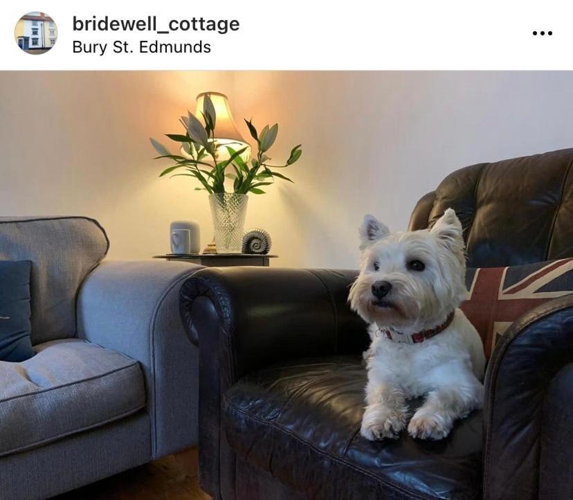 Sweet & Cosy 10 Bridewell Cottage With Parking Available Upon Request Bury St. Edmunds エクステリア 写真