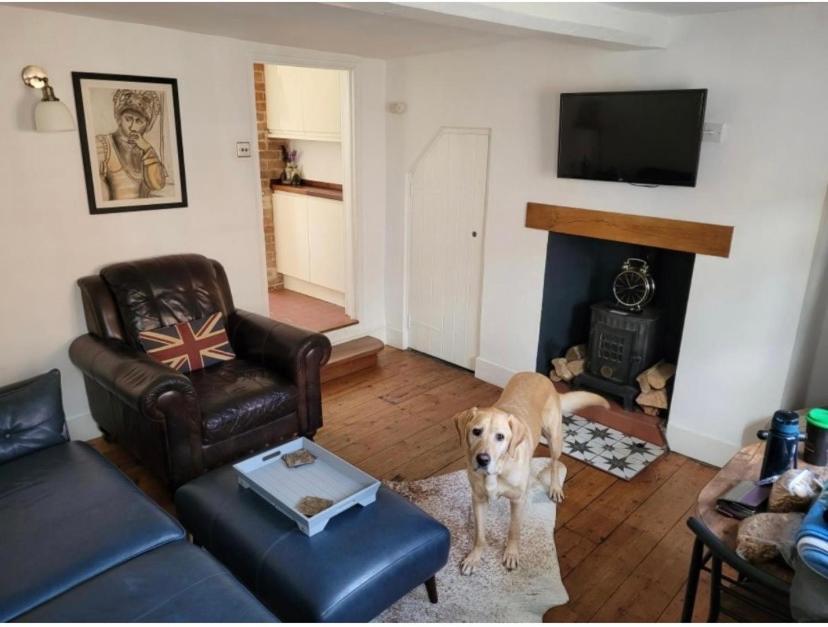 Sweet & Cosy 10 Bridewell Cottage With Parking Available Upon Request Bury St. Edmunds エクステリア 写真